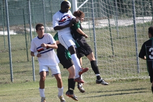 JUNIORES – Astra:: Il Cervo